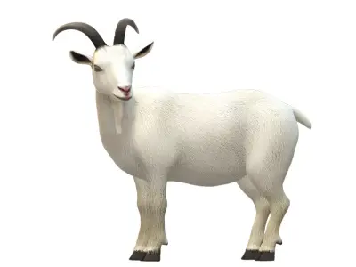 Goat 3D model 3D model
