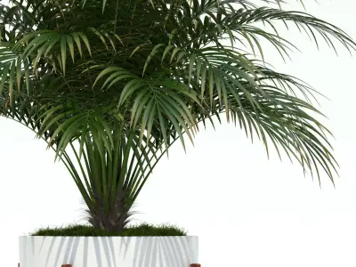 Plants collection 68 Modernica pots 3D model