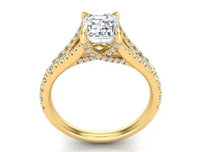 Split Shanke Ring 3D print model