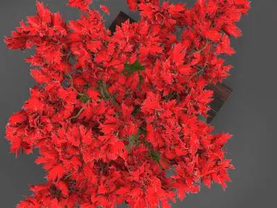 chinese tree plant 3D model