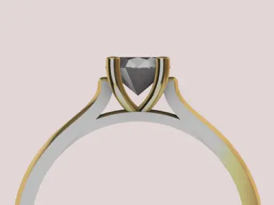 Cathedral Ring 3D print model