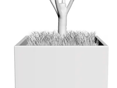 Young birch-tree in red pot 3D model