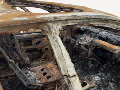 Burned Cars 3D print model