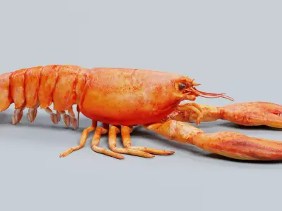 Cooked Lobster - Realistic Crustacean Homarus Americanus 3D model