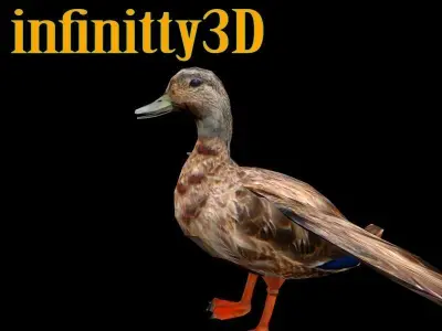 Duck 3D Low-poly 3D model purchase