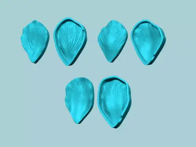 03 Tulip Flower Petals - Molding Artificial EVA Craft 3D Model Collection