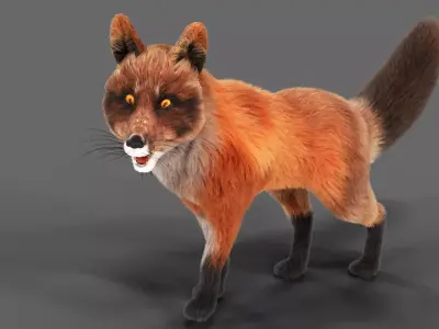 Fur Fox Rigged 01 Low-poly 3D model