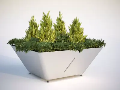 Lush green bush in planter 3D model