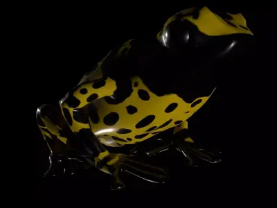 Poison Dart Frog Three colours 3D model