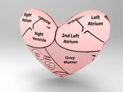 Heart Free 3D model buy