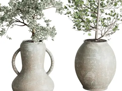 Collection indoor plant 240 pot Tree Bush Concrete Dirty Vase 3D model