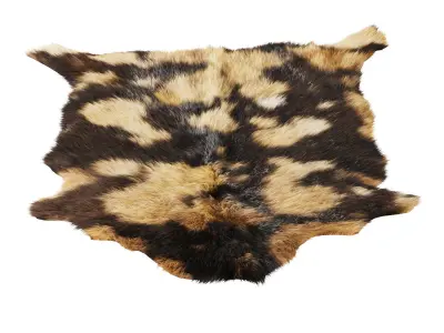 Goat skin carpet 3D model