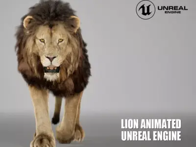 Lion Animated FUR UNREAL project  Maya base rig 3D model