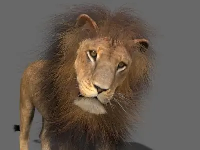 MAjestic Lion - 3d model 3D model