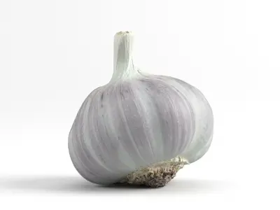 Photorealistic Garlic 3D Scan 3D model