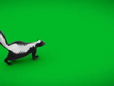 Striped Skunk Low-poly 3D model