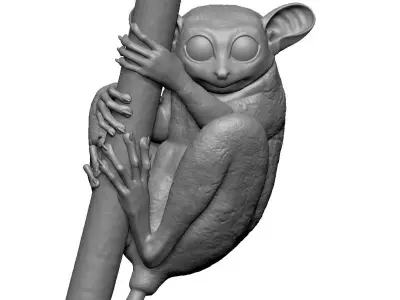 Tarsier gripping a branch 3D model