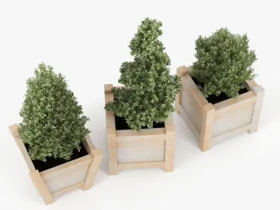 Buxus three wooden planters 3D model