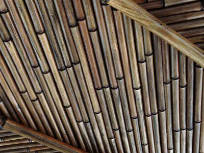 Ceiling bamboo branch low n5 3D model