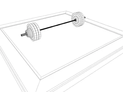 Olympic Weights Low-poly 3D model
