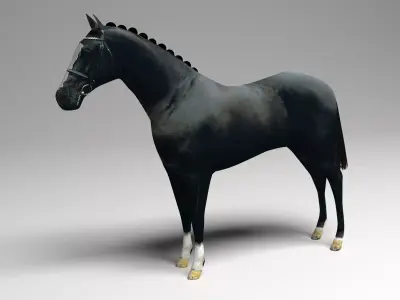 Black Horse 3D model