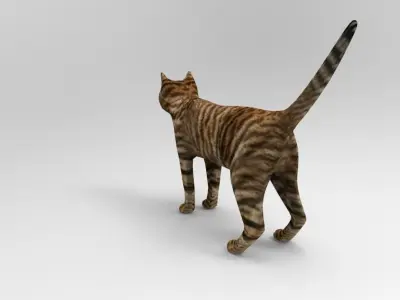 3d Cat wild low poly model Low-poly 3D model