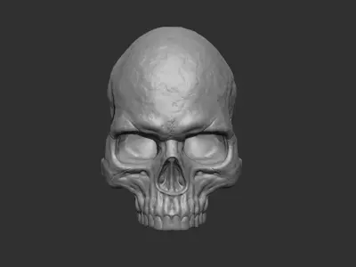 Skull Wall Sculpture 3D print model