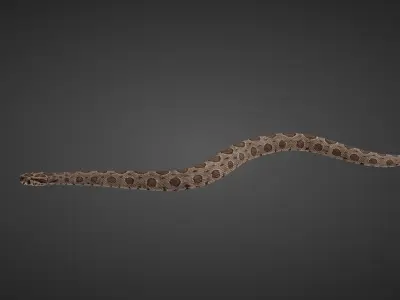 Russell Viper Animated VFX Grace 3D model
