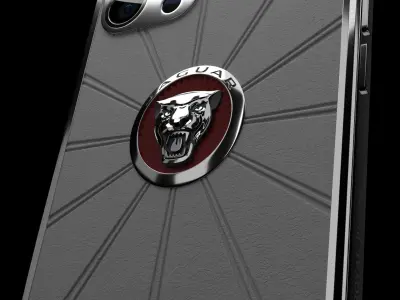 Jaguar face Free 3D model