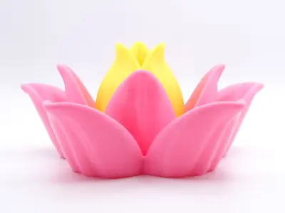 Multifunctional Lotus Flower 3D print model