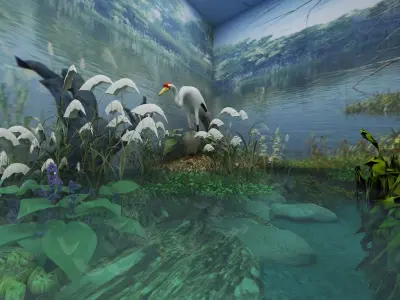 Natural Museum Low-poly 3D model