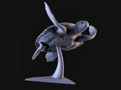 Turtle sculpture of 3D print model