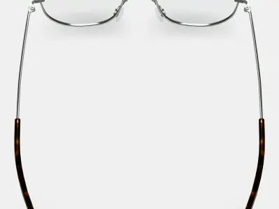 Renaldo Eyeglasses in Antique Silver 3D model