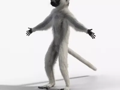 Little White Sifaka - VFX Grace 3D model