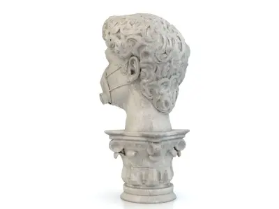 David 2020  3D print model