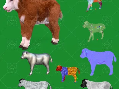 Hereford Cattle Calf Low-poly 3D model