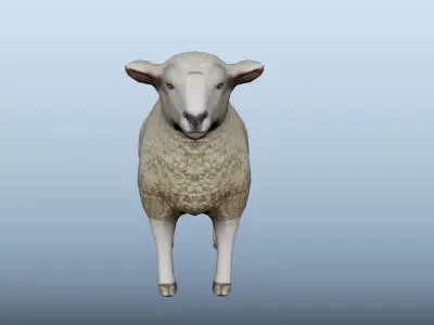 Sheep Animated VFX Grace Low-poly 3D model