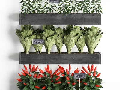 Decorative plants for the kitchen on wooden box 47 3D model