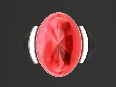 Jewelry Ring 3D print model
