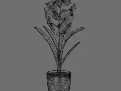 Vanda Orchid  Low-poly 3D model