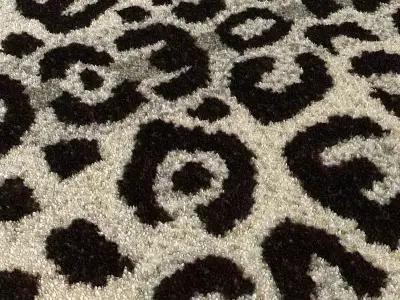 Carpet Skin Leopard 3D model