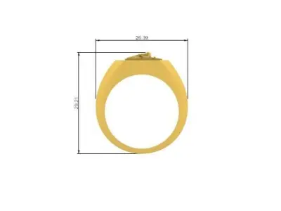 Onyx ring   3D print model