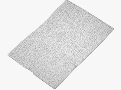 Shaggy Fur Rectangle rug 3D model