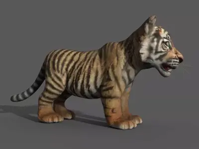 Tiger Cub Game Ready Low-poly 3D model