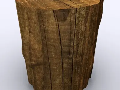Tree Stump 3D Model 3D model
