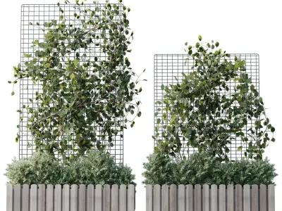 The plant on the grid 4 models and sizes with wooden box 3D model