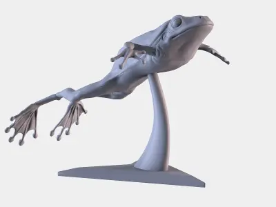Frog 3D Printing 3D print model