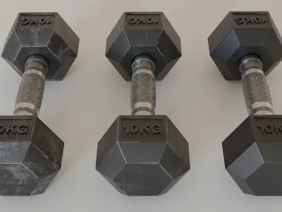 Hex Dumbbell 10 kg Used New and Dirty Free low-poly 3D model