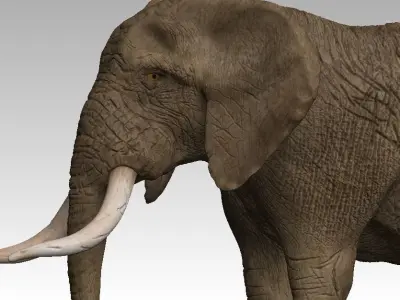Brown Elephant Low-poly 3D model