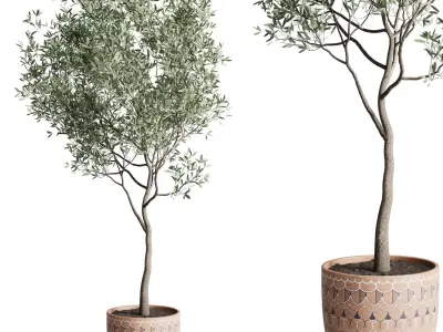 Olive tree in a patternd clay vase 199 Low-poly 3D model